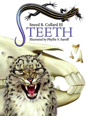 cover image of Teeth